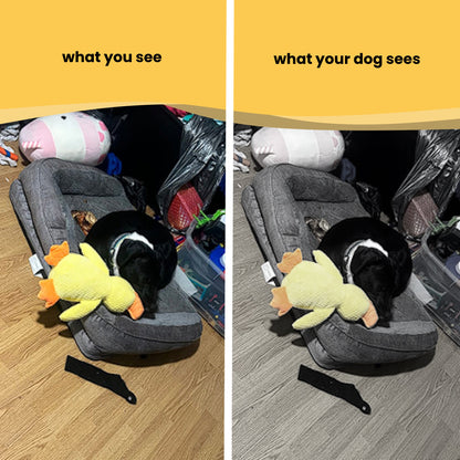 The Calming Duck Companion