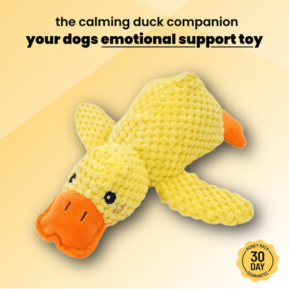 The Calming Duck Companion