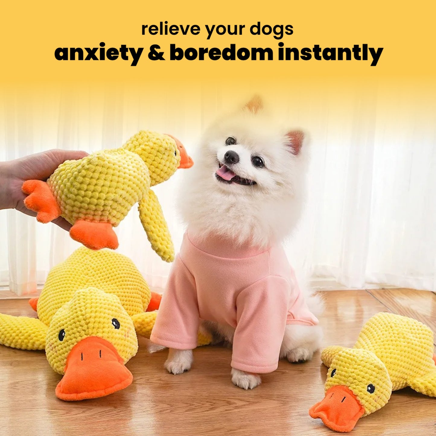 The Calming Duck Companion