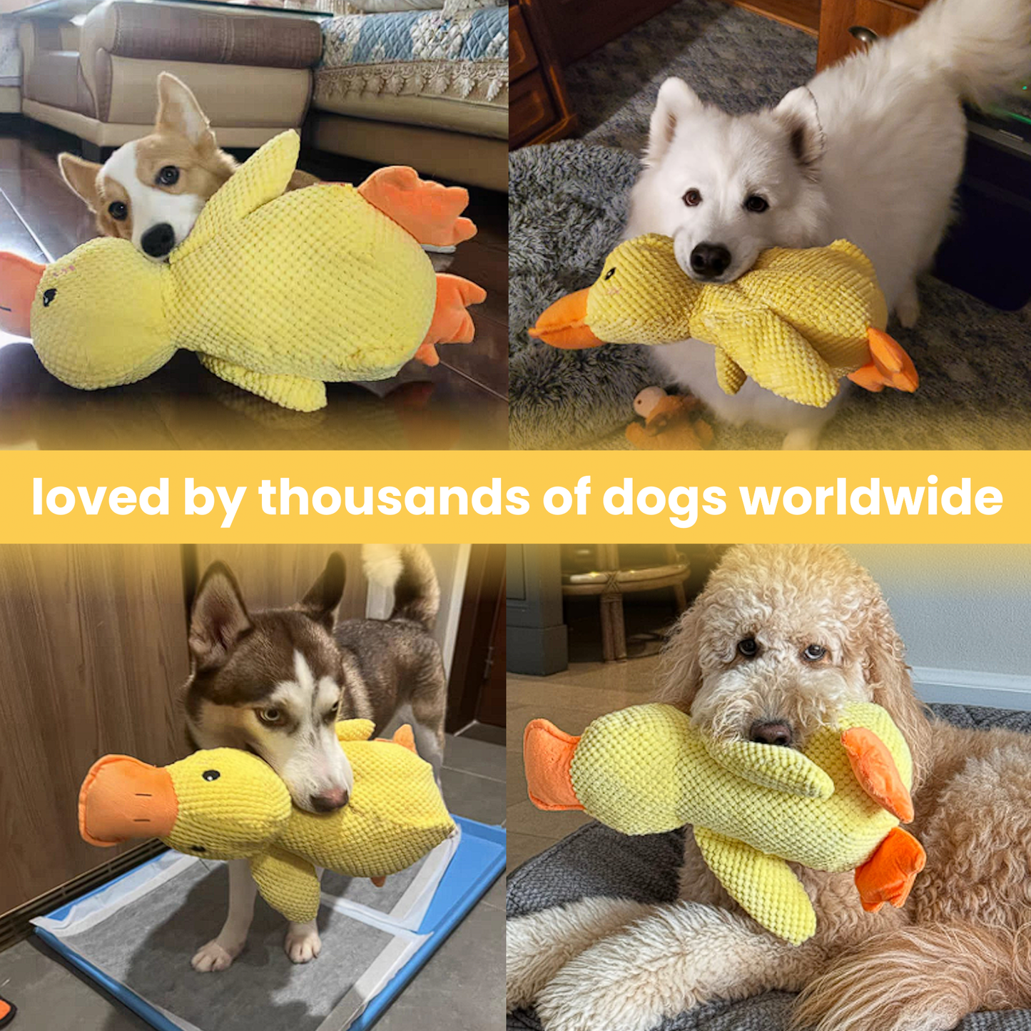 The Calming Duck Companion